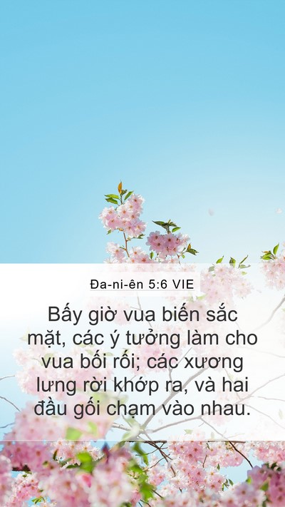Ða-ni-ên 5:6 VIE Bible Verse Image